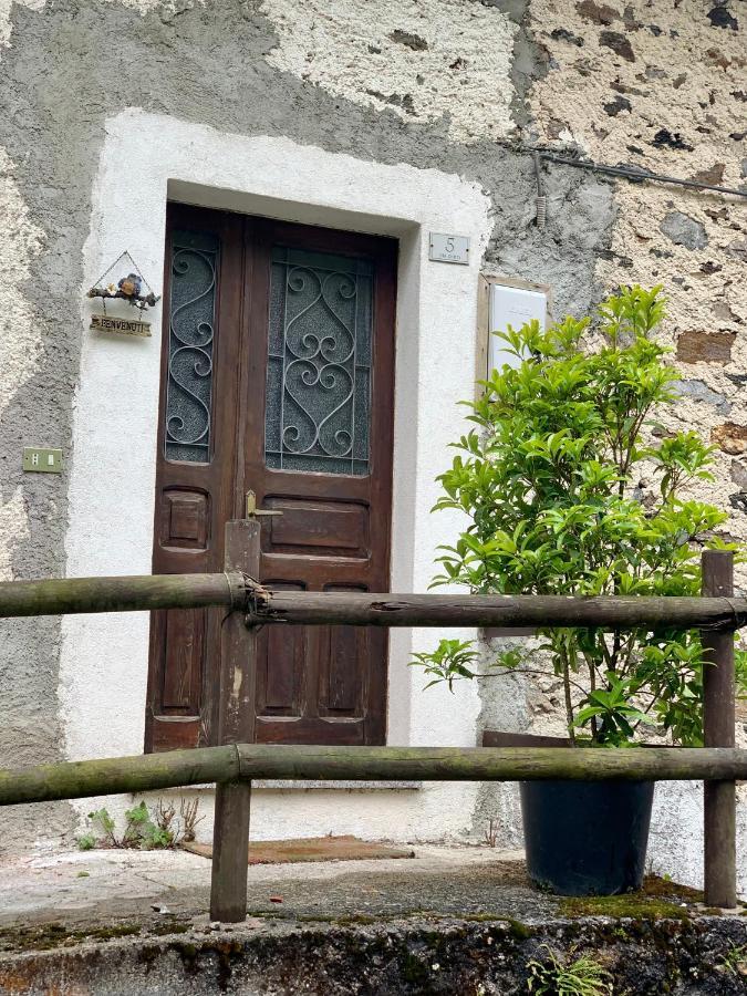 Casa Curti Διαμέρισμα Gosaldo Εξωτερικό φωτογραφία